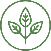 Natural & Chemical Free